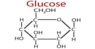 Glucose